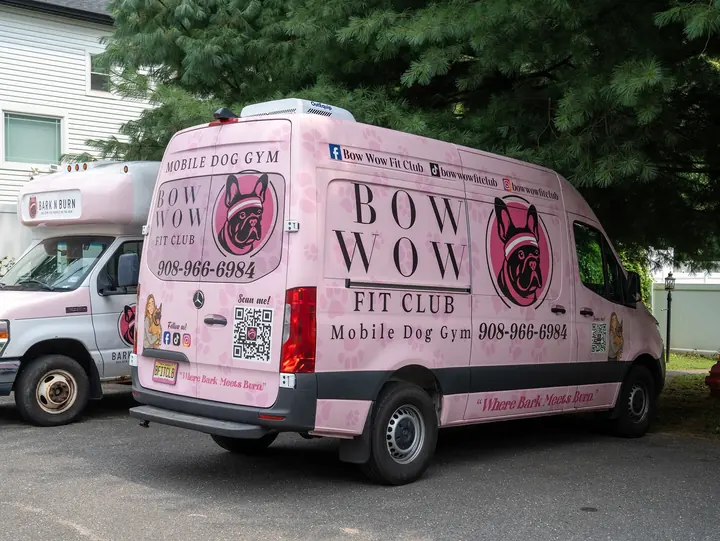 BOW WOW FIT CLUB full wrap — rear three-quarter